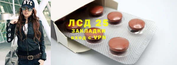 ГАЛЛЮЦИНОГЕННЫЕ ГРИБЫ Новодвинск