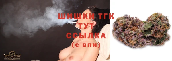 СК Новозыбков