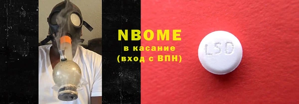 СК Новозыбков