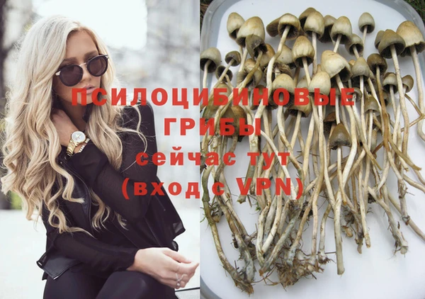 меф Нефтегорск