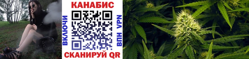Каннабис сатива  Щёкино 